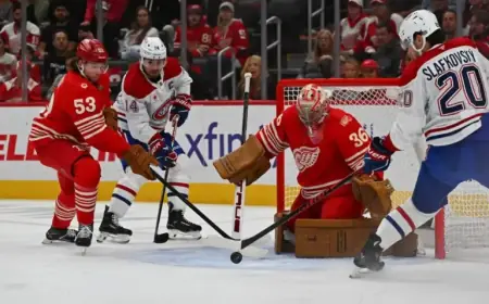 Senators vs. Red Wings: Lineups, Goaltenders, Viewing Guide