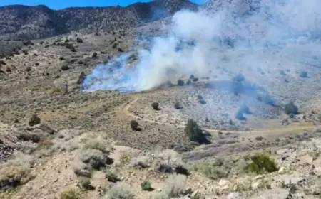 Firefighters Combat Wildfire Near Basalite Mine