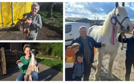 Meet the Three Montreuillois Farmers Honored at the Agriculture Expo