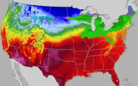 MLB Opening Day Set to Proceed Without Strikes