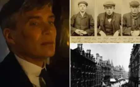 Big-Box Retailers Strengthen Home Improvement with True Value Closures