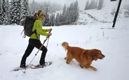 Prepare for Power Outages as 12 Inches of Snow Looms