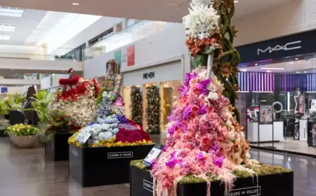 Weekly Guide: Top Things to Do in Dallas