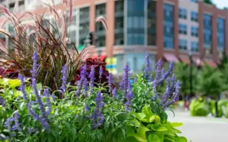 Northwestern University Supports “Hop Around Evanston” Spring Shuttle to Boost Local Business