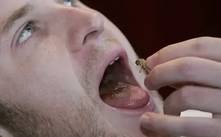 “Watch ‘Fear Factor: House of Fear’ Finale Free Tonight”