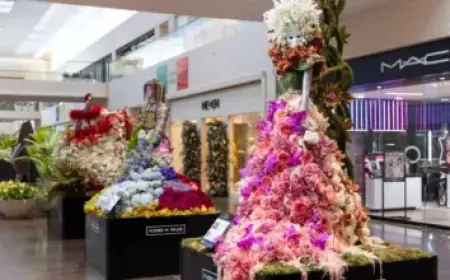 White House Warns: Trump Ready to Act if Iran Rejects Deal