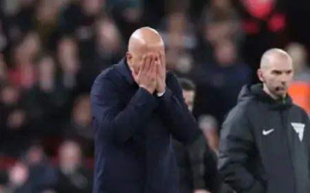 Timberwolves vs. Celtics: 2026 NBA Playoff Standings and Bracket Predictions