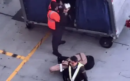 Viral Video Criticizes Baggage Handler for Mishandling Guitars on Tarmac