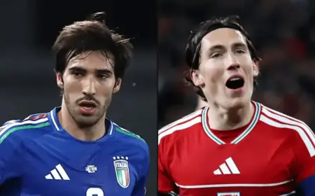 World Cup Play-offs: Gyokeres Faces Lewandowski, Italian Challenges, Guler and Yildiz Shine