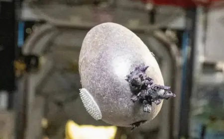 “Space Station’s Tentacled Object Ignites Intense Alien Speculation”