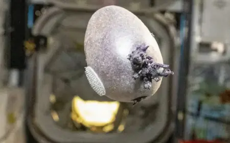 NASA Astronaut’s Alien-Like Space Photo Captivates Internet