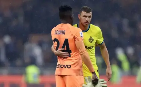 Edin Dzeko Returns to UK Amid Onana Dispute, Bosnia Tensions