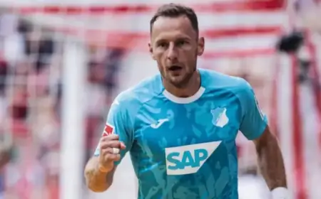 Coufal: Former West Ham Right-Back Fuels Hoffenheim’s Top-Four Ambitions