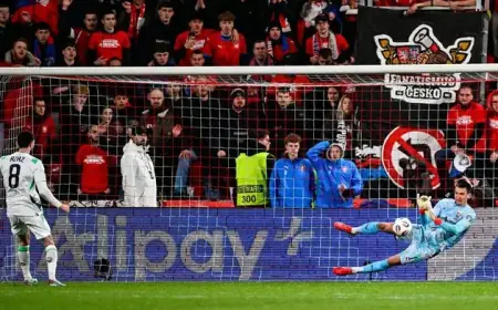 Czechia vs Ireland World Cup Play-off: Hallgrimsson’s Squad Face Penalty Showdown