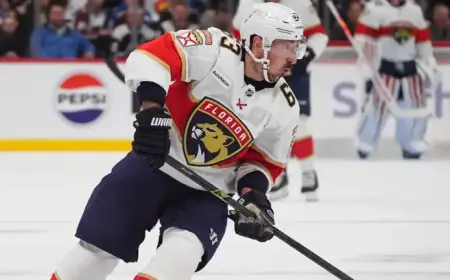 Watch Panthers vs. Wild NHL Game Live for Free Tonight