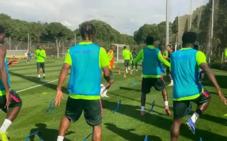 Ndidi Joins Eagles’ Turkey Camp; Bassey Excluded from Friendlies