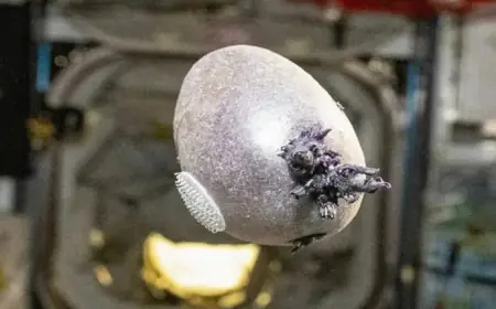 NASA Astronaut Captures Image of Mysterious Purple Object With ‘Tentacles’