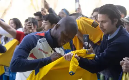 Ecuador vs. Morocco: Vibrant Tricolor Atmosphere at Metropolitano Stadium