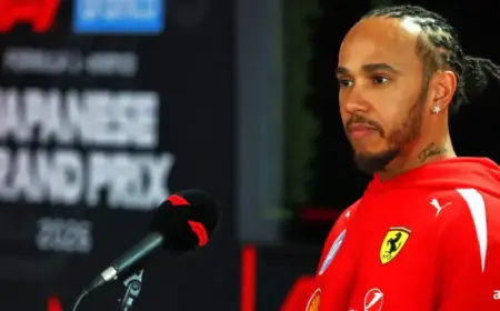 Lewis Hamilton Reacts to Disturbing Max Verstappen Footage