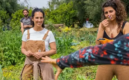 How European Farmers Overcome the Fertilizer Crisis