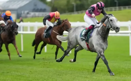 Big Gossey Triumphs at Gladness; Albert Einstein Disappoints on Return