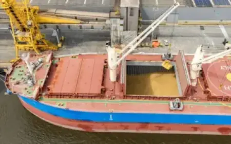 Sonny Gray Debuts for Red Sox in Cincinnati Matchup Preview