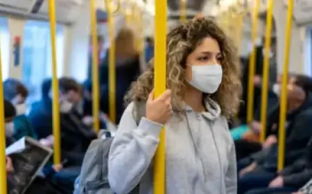 USA vs. Belgium Live: International Friendly Match Today