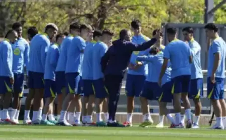 Cats Revival Unveils Complete Cast List