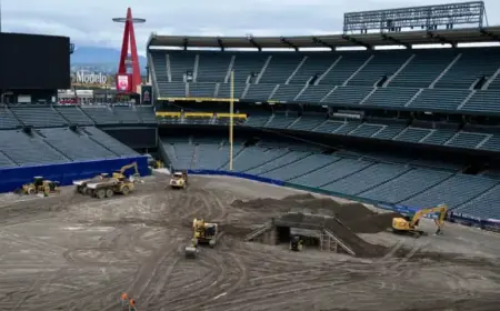 State Bill Aims to Restore ‘Anaheim’ in Angels Team Name