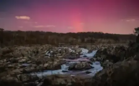 Christian Ulmen Responds to Allegations of ‘Digital Assault’