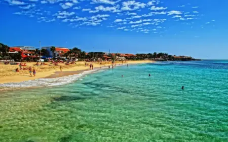 Assessing Shigella Concerns in Cape Verde: What You Need to Know