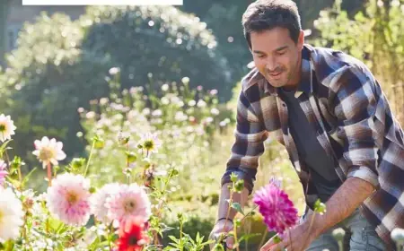 Unlock Savings: 24 Free* Perennials for Your Garden