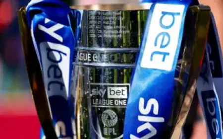 Max Verstappen Plans F1 Retirement After 2026 Season