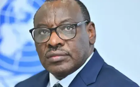 Africa Must Pivot to Innovation-Driven Growth Fueled by Data and Tech