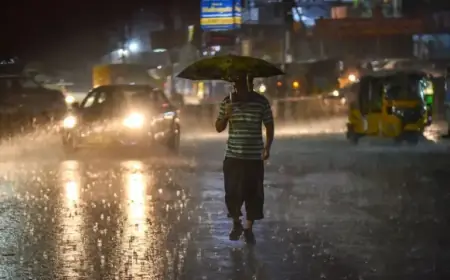 Weather Department Warns of Storms and Rain Sweeping the North