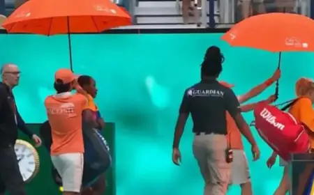 Miami Open Final Halted: Players Exit Court, Jannik Sinner Awaits