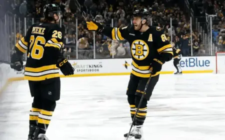 Pastrnak Extends Streak to 12 Points, Bruins Defeat Wild
