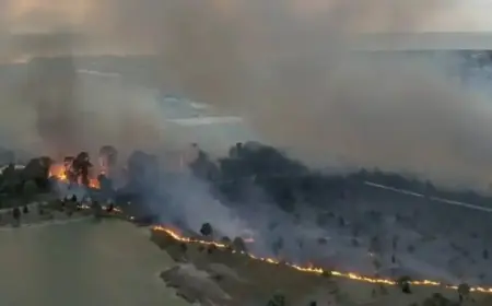 Hernando County Orders Evacuation for Brush Fire Threatened Neighborhood