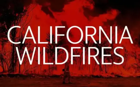 Border 2 Fire Erupts in San Diego County on March 29