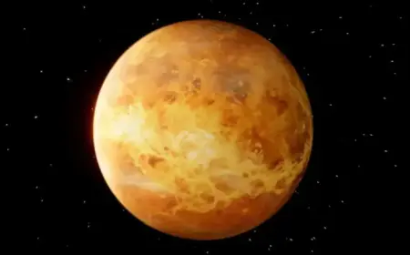 “Venus in Taurus Invites You to Break Free from Relationship Ruts”