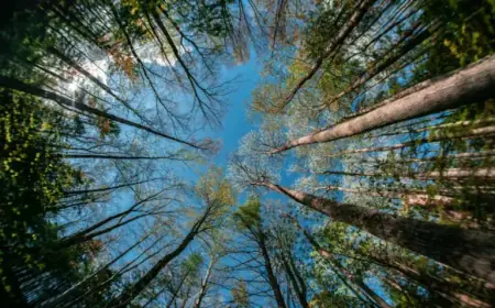 Experience Earth Week 2026 in Kawartha Lakes