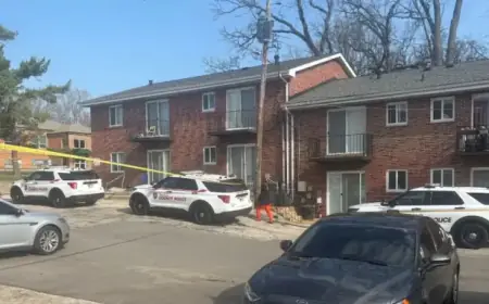 Amber Alert: 5-Year-Old Girl Missing After Stolen Vehicle Recovered in St. Louis County