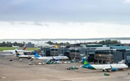 Activist Alleges Government Failure in US Military’s Use of Shannon Airport