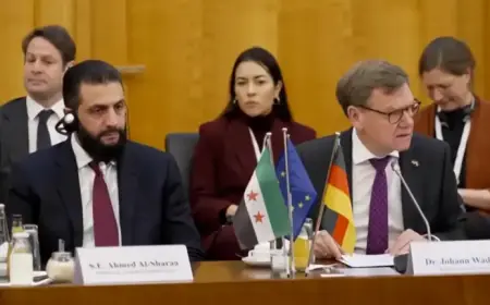 Germany’s FM Pledges Support to Syria in Talk with President al-Sharaa