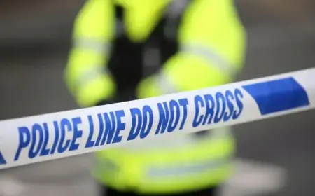 Tracking the Silver Killer: Where Is the Infamous Fugitive Now?