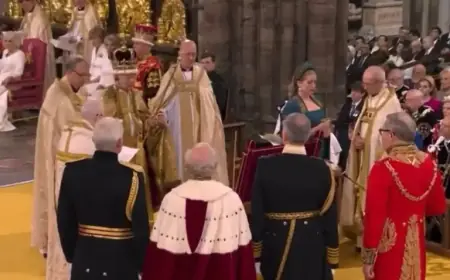 Royal Response to Coronation Revealed in Surprising Disclosure