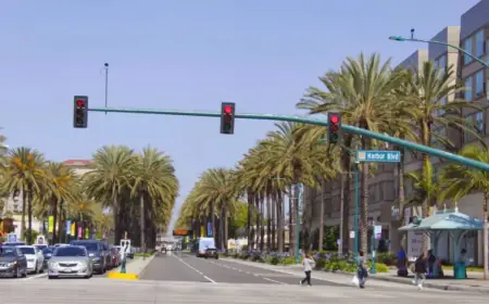 Leafs and Ducks Face Off in Exciting Rematch