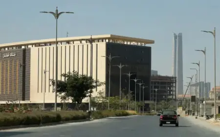 African Banks Surpass Global Peers with Over $100 Billion in Revenues, Says McKinsey