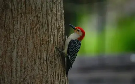 Celebrate Earth Day 2026: Events in Bucks County