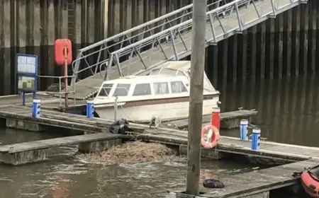 Volunteers Needed to Clear Debris at Harbor in Search for Missing Teen